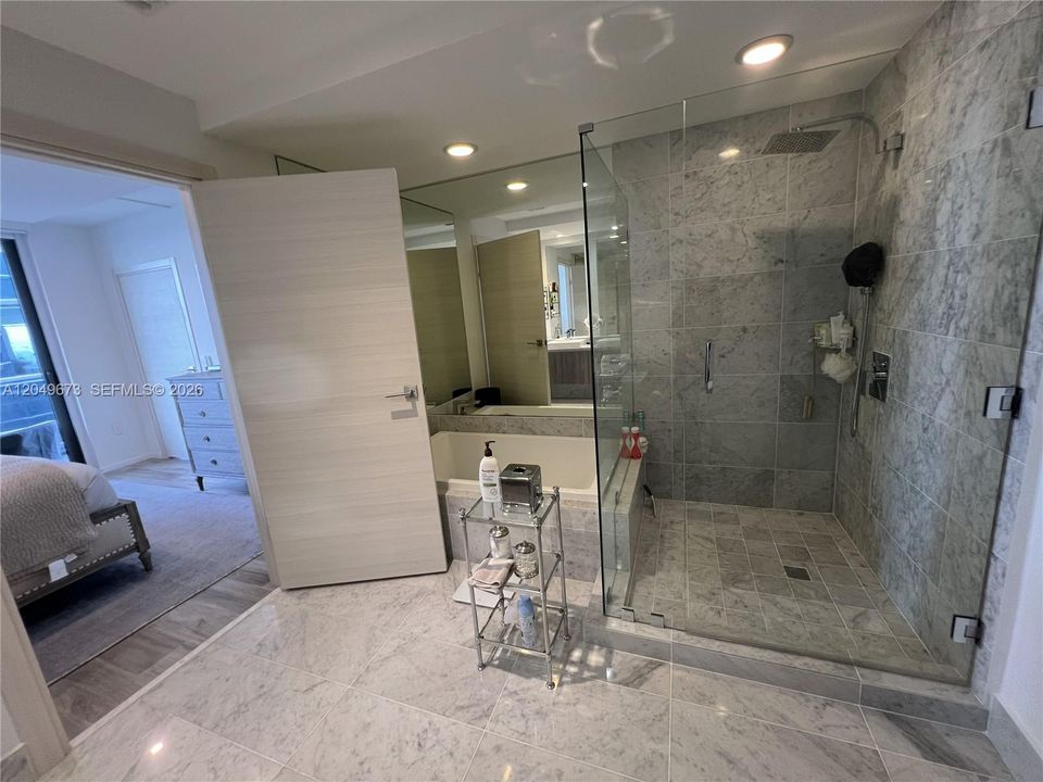 Master Bathroom-Shower and Bathtub