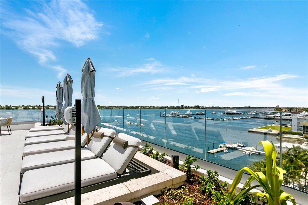 Deck Views