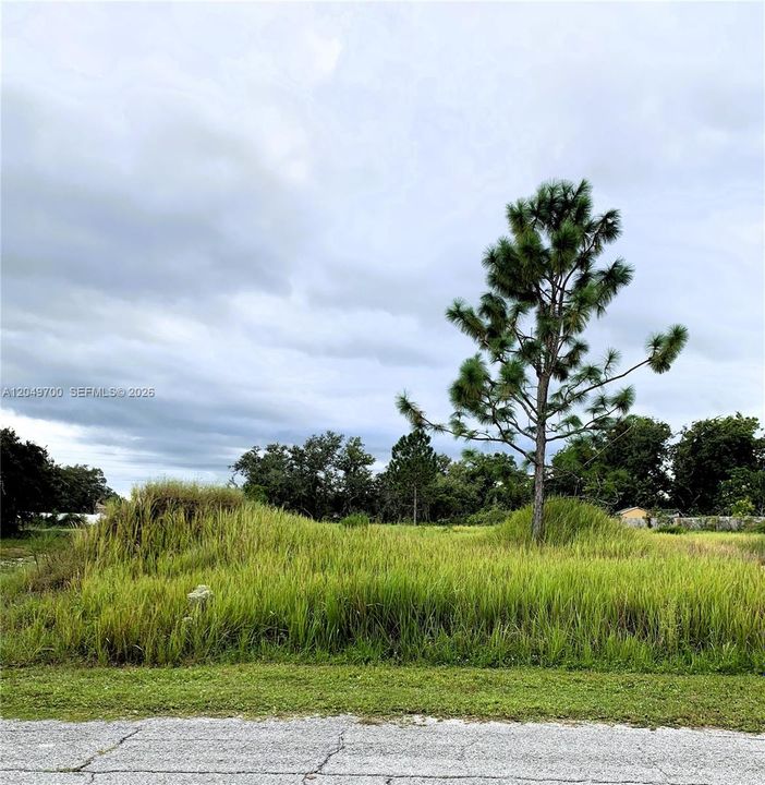 For Sale: $45,000 (0.41 acres)