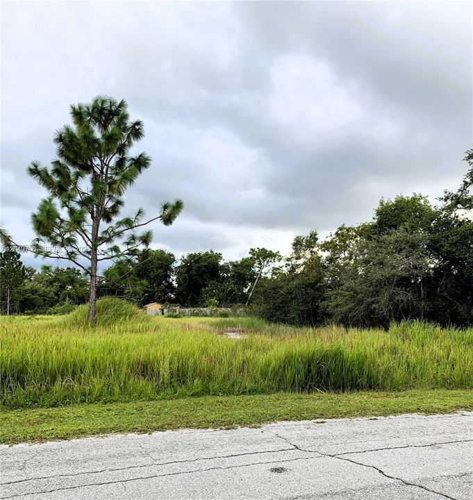 For Sale: $45,000 (0.41 acres)