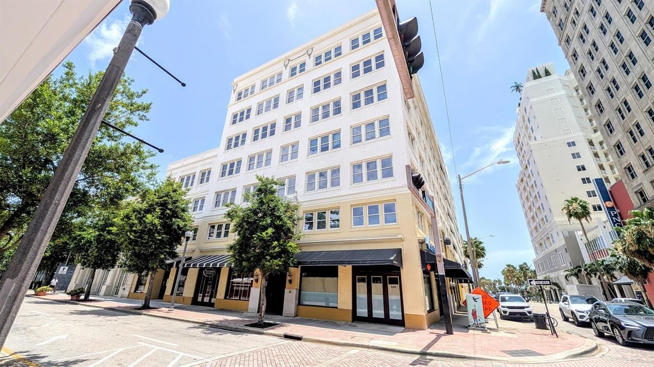 Corner of Olive and Datura