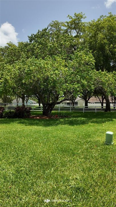 For Rent: $3,500 (3 beds, 3 baths, 931 Square Feet)