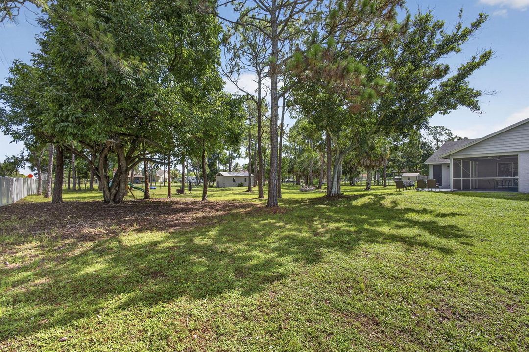 55-web-or-mls-BS1A6058