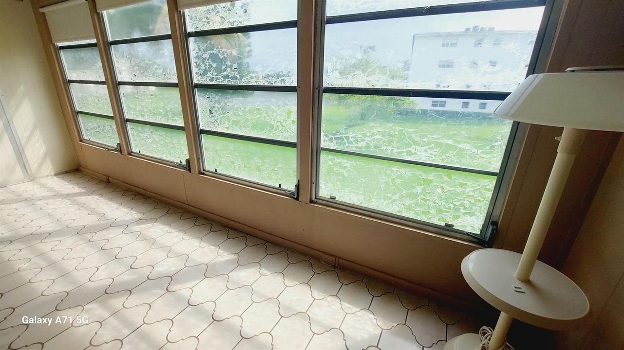 back windows