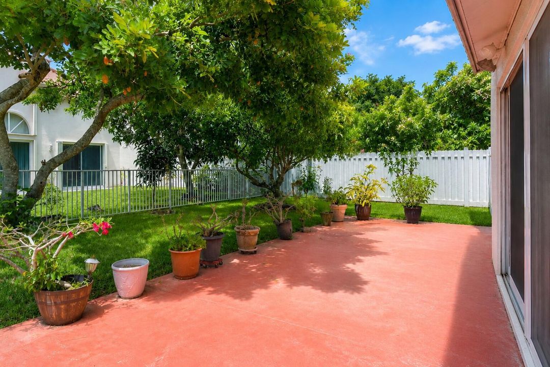 Open Patio/Backyard