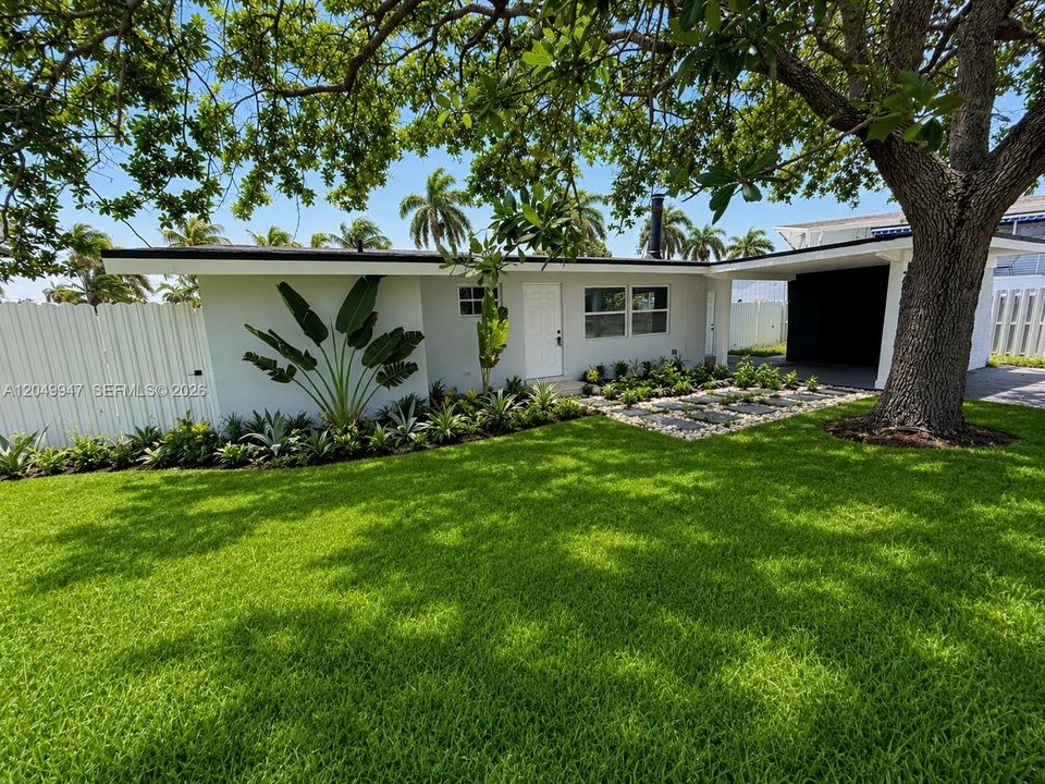 Front Yard