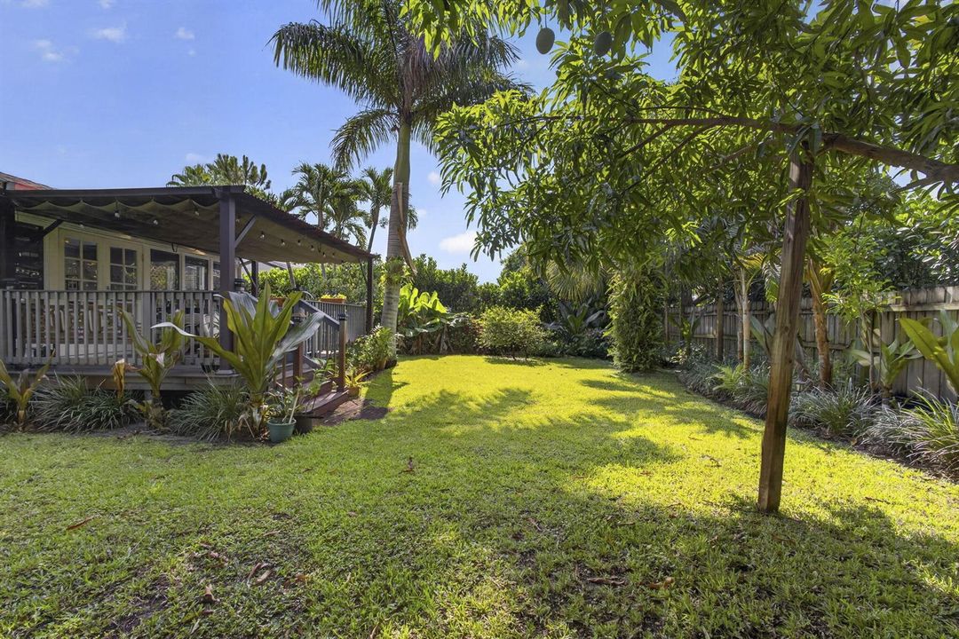 Large Back Yard