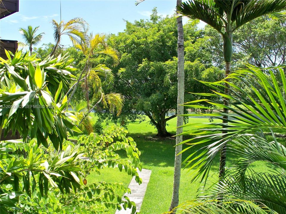walkway to canal