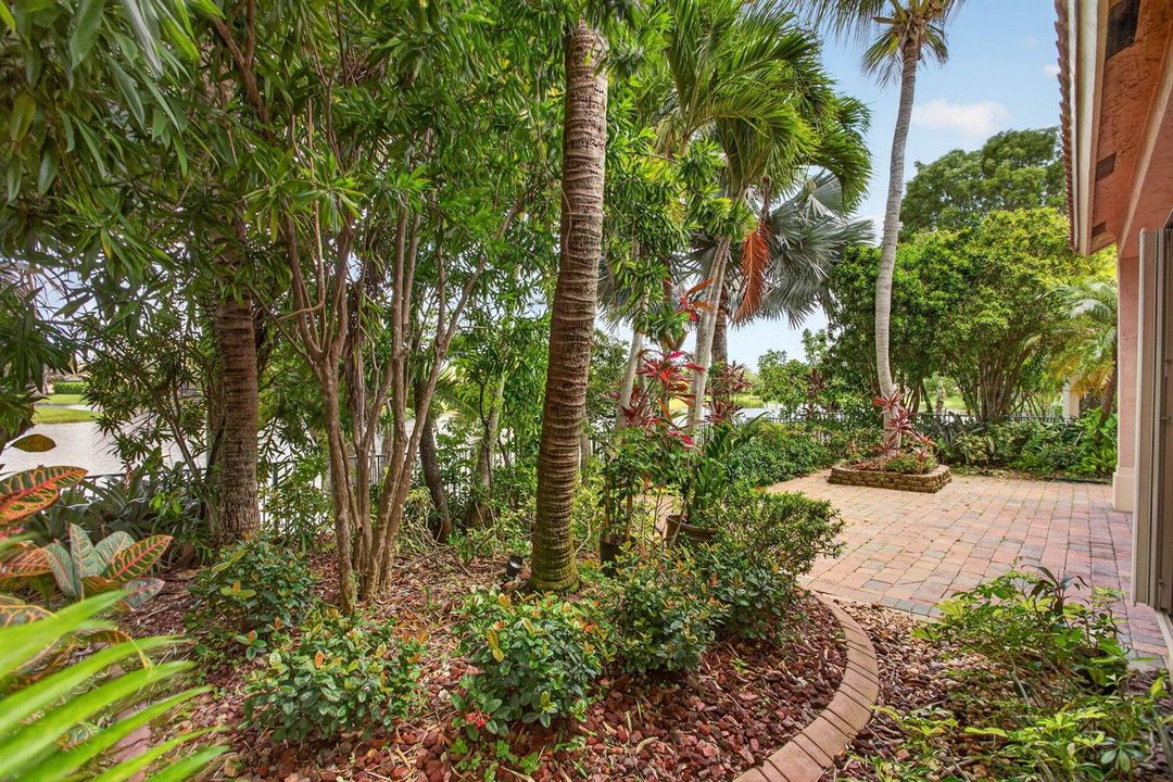 6-web-or-mls-6443-6616
