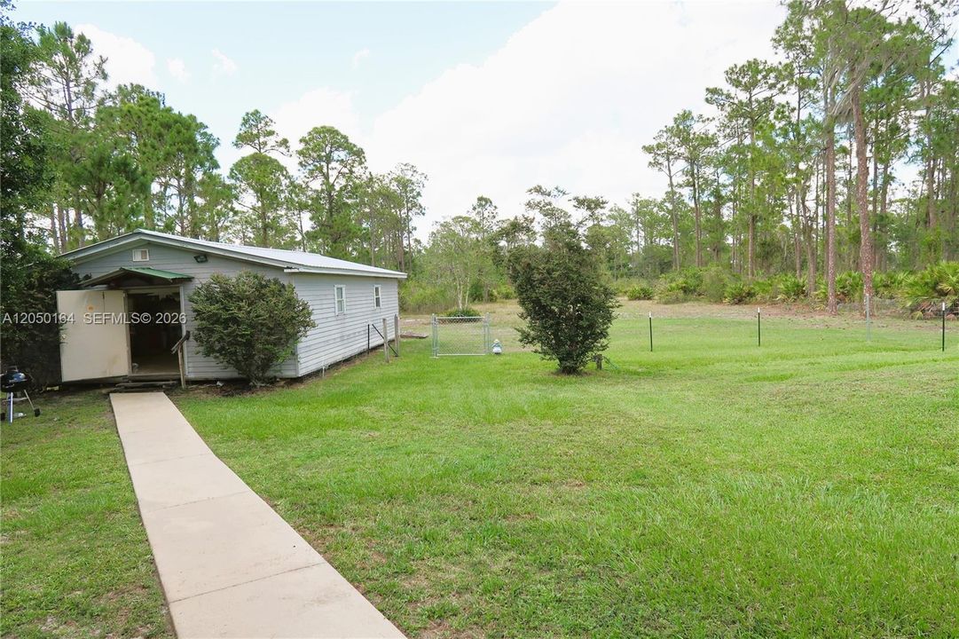 back yard