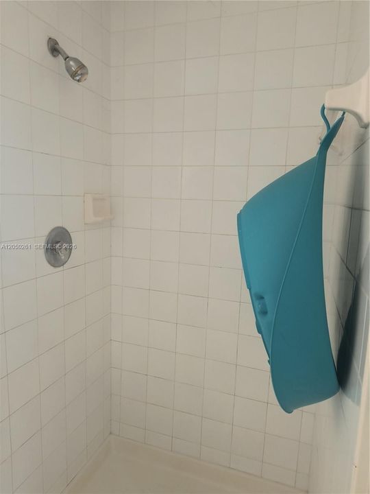 SHOWER IN GUEST BATH ROOM