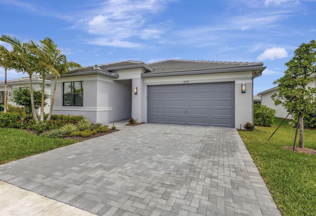 2-web-or-mls-5P1A6133