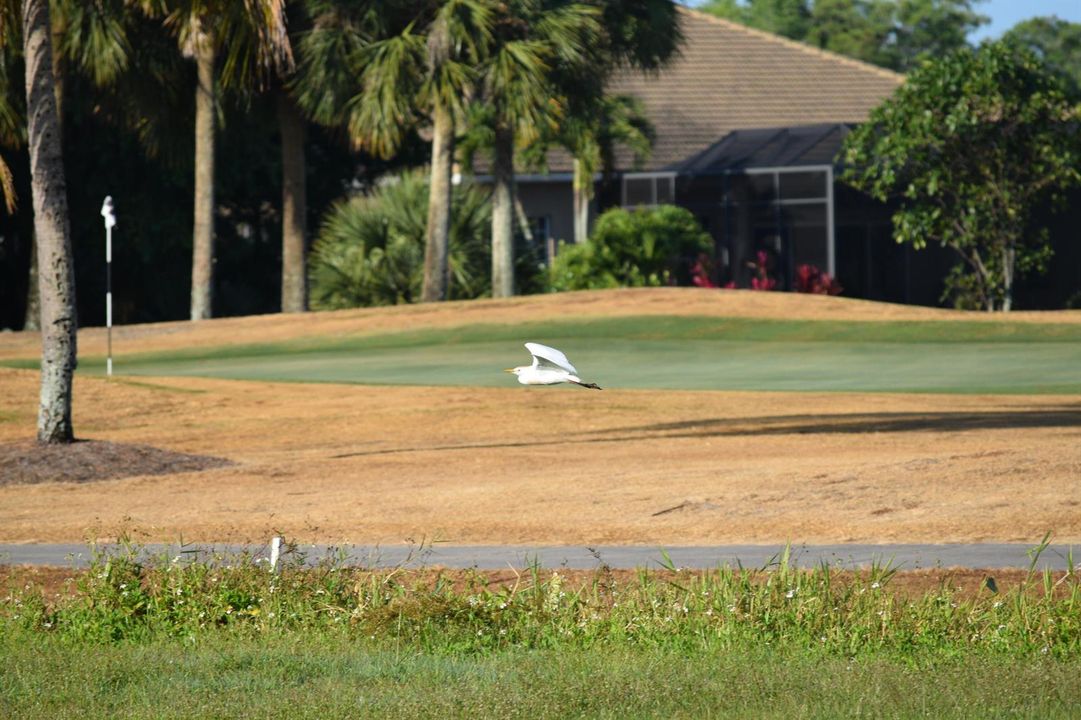 volando campo golf