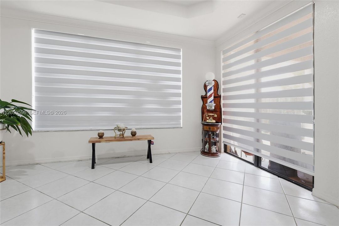 Zebra privacy blinds