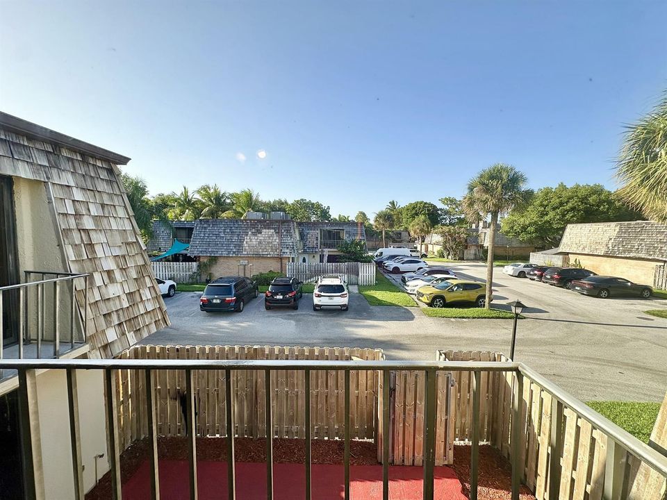 IMG_6081