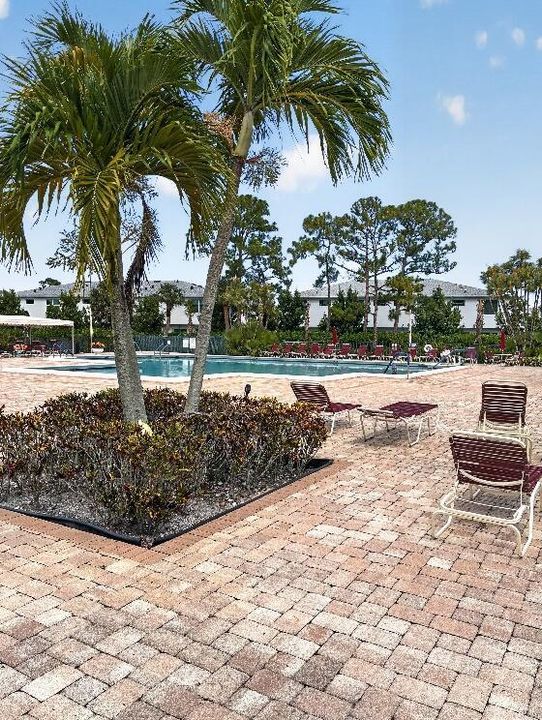 Pool_ Image1