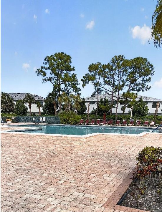 Pool_Image 2