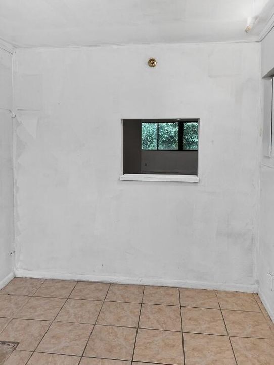 Kitchen Window