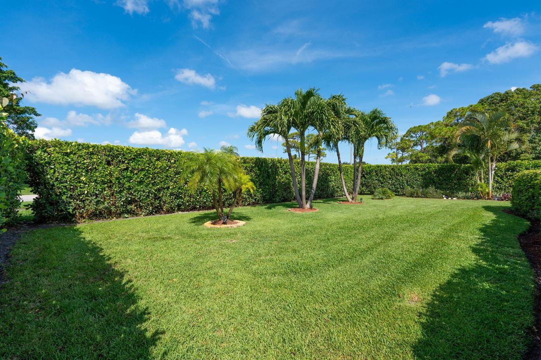 54-web-or-mls-A7408283