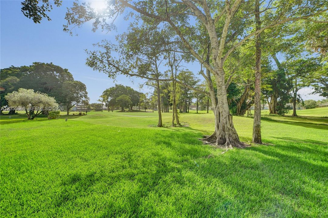 Lush Green Views From Your Windows!