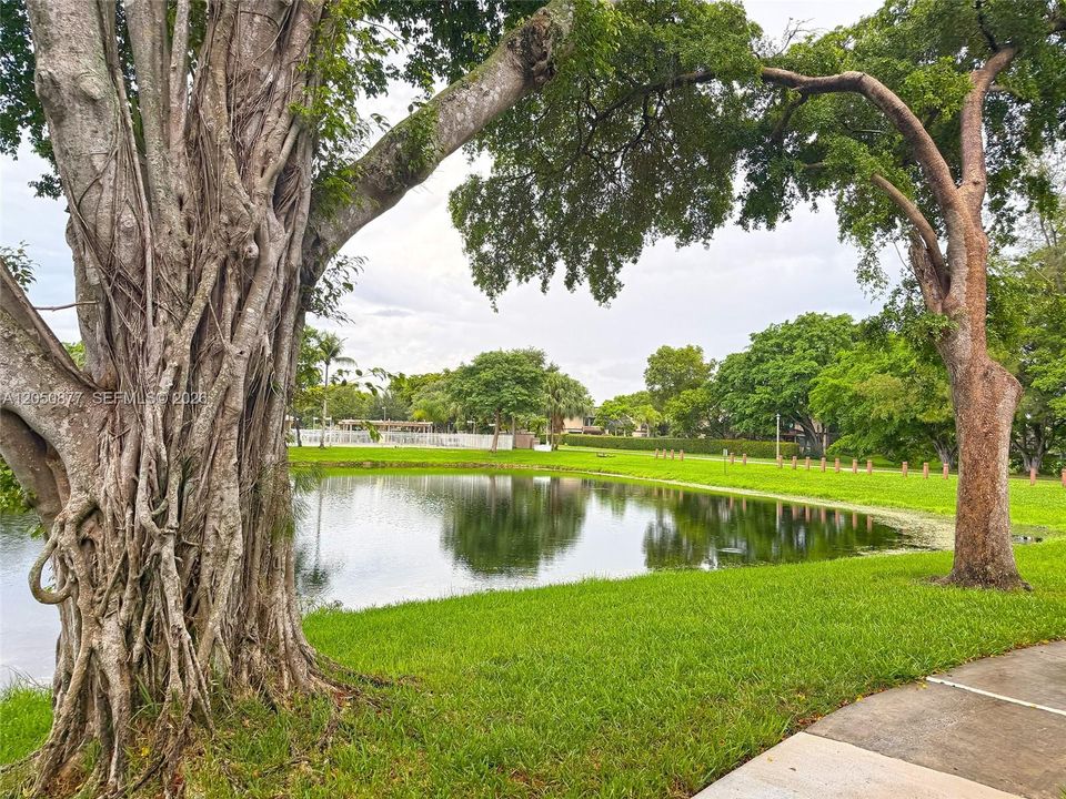 For Rent: $2,600 (3 beds, 2 baths, 1093 Square Feet)
