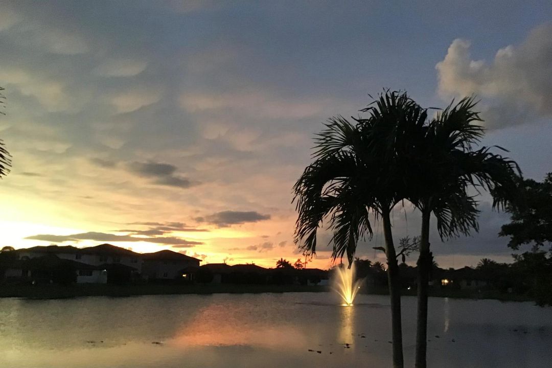 sunset