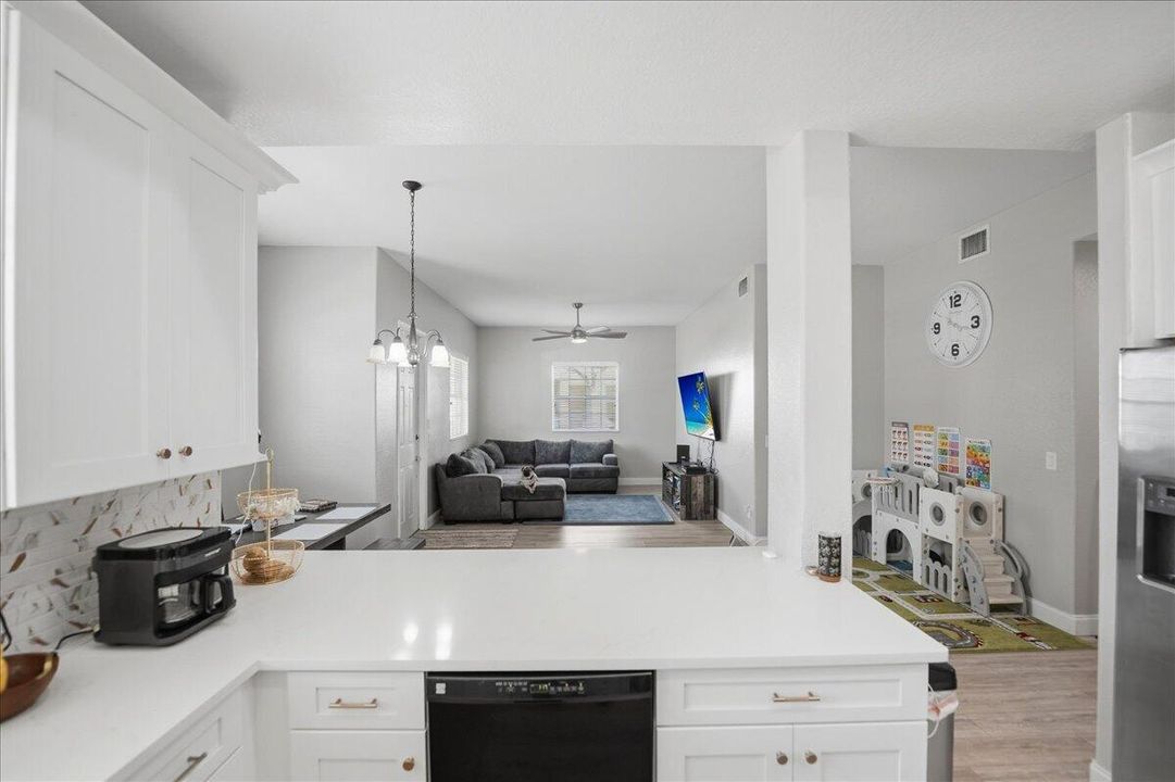 Kitchen/Living Area