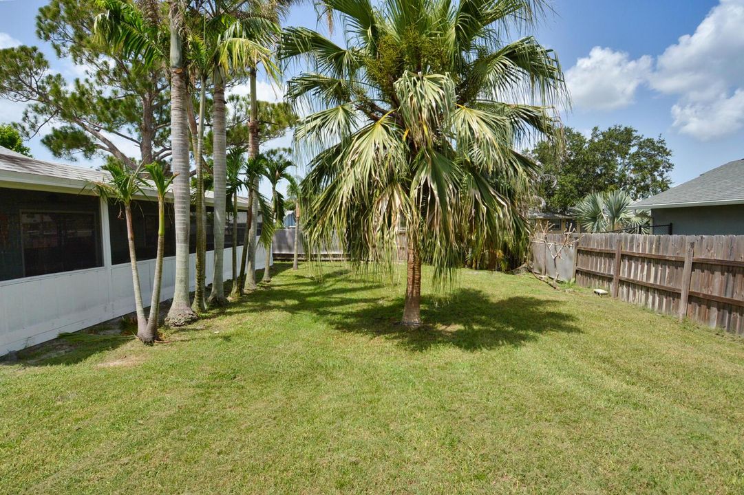 Backyard 2