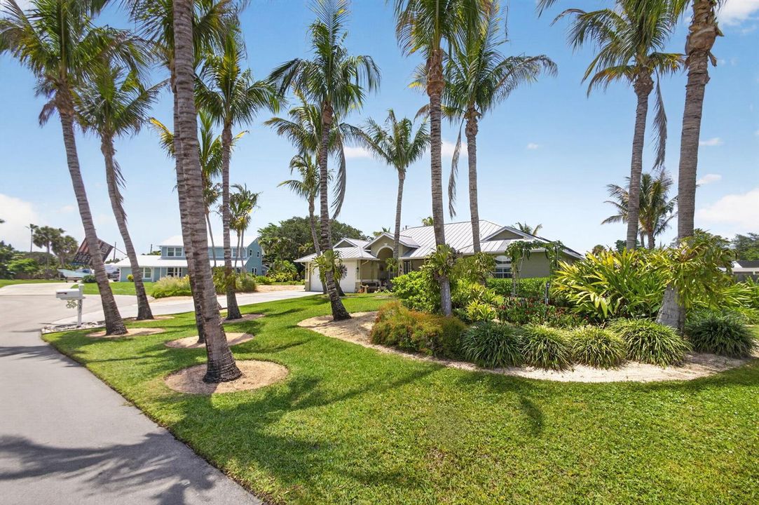 2-web-or-mls-5D1A4045