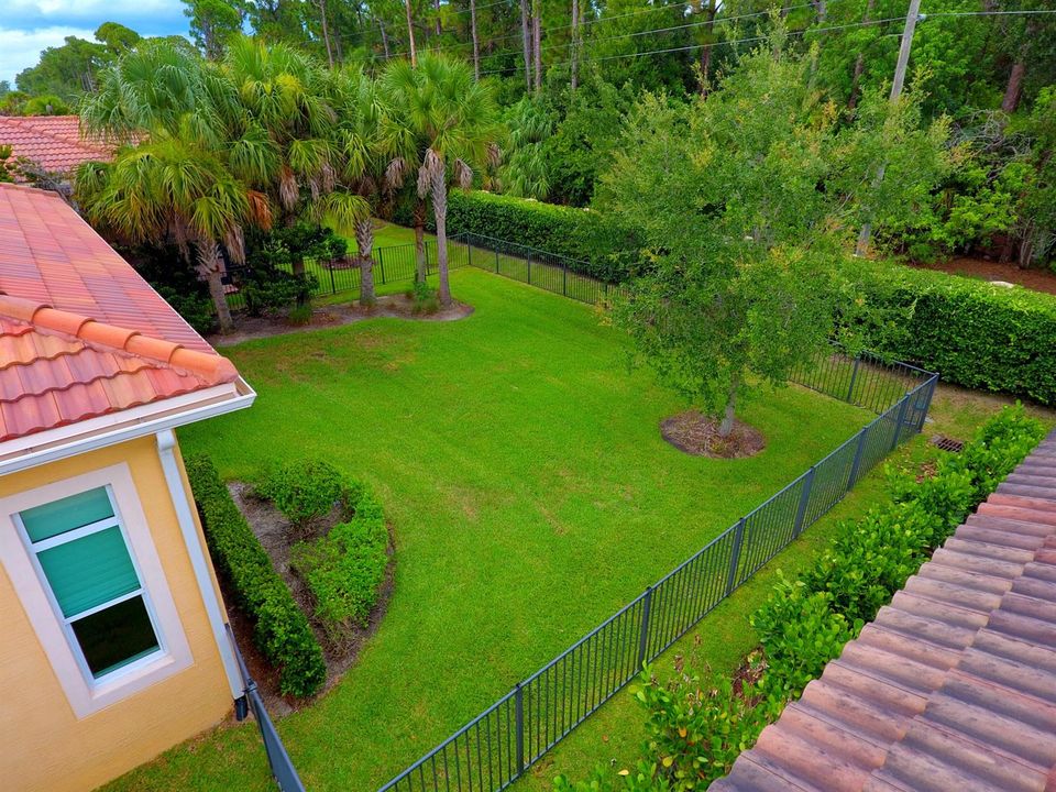 Backyard (Aerial)
