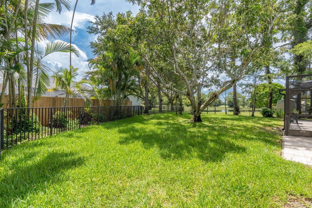 55-web-or-mls-A7408662