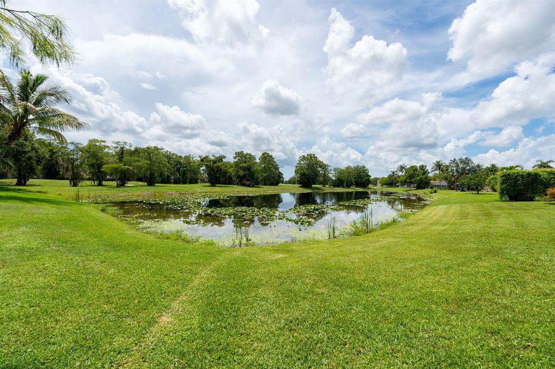57-web-or-mls-A7408668