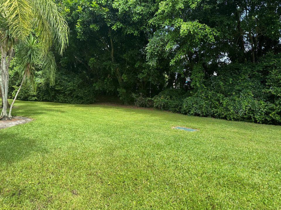 Patio View