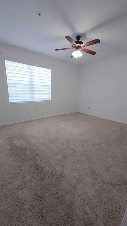 243POMPANO#17