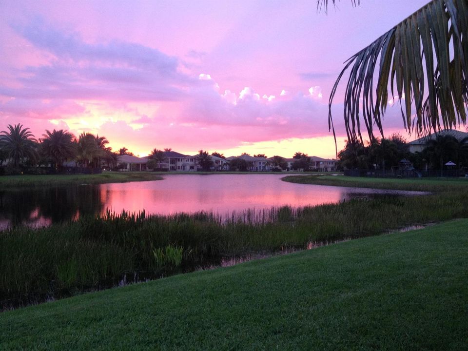 Western Exposure