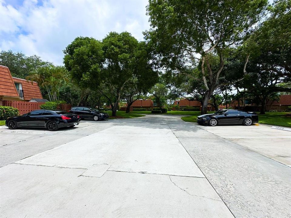 Parking Lot View