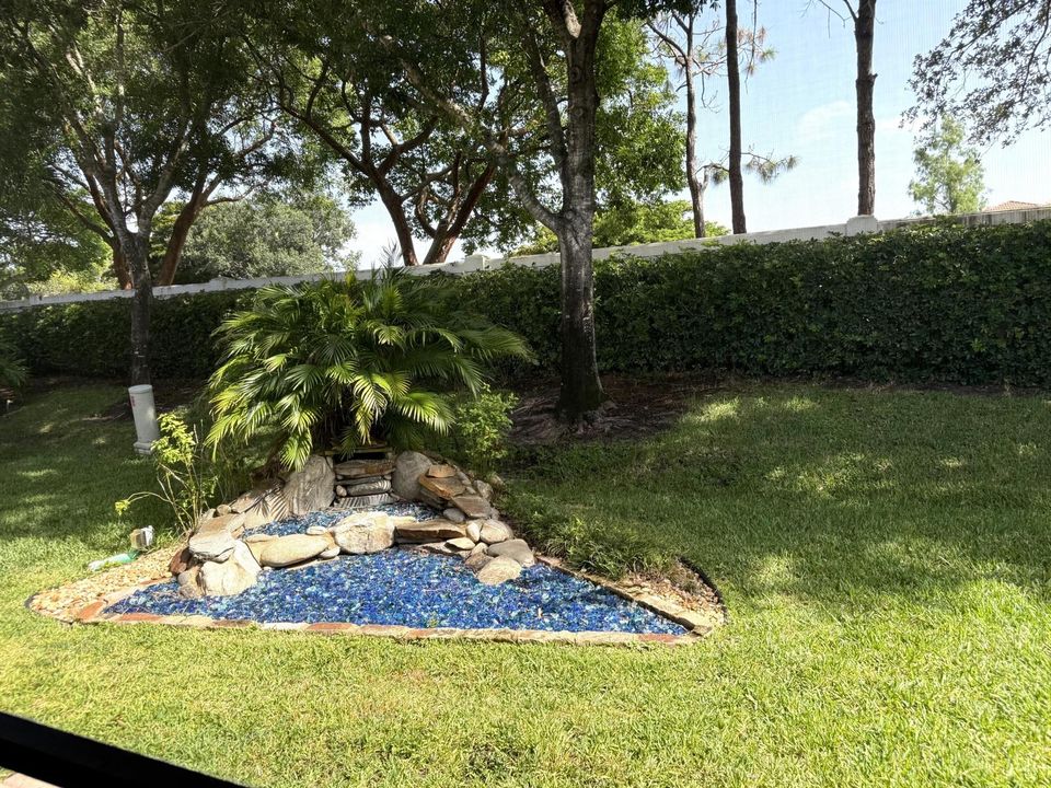 Patio view
