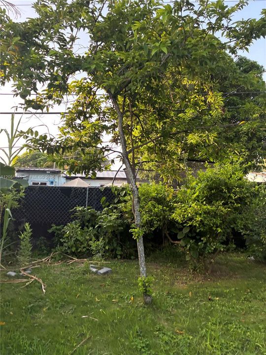 For Sale: $550,000 (3 beds, 3 baths, 1910 Square Feet)