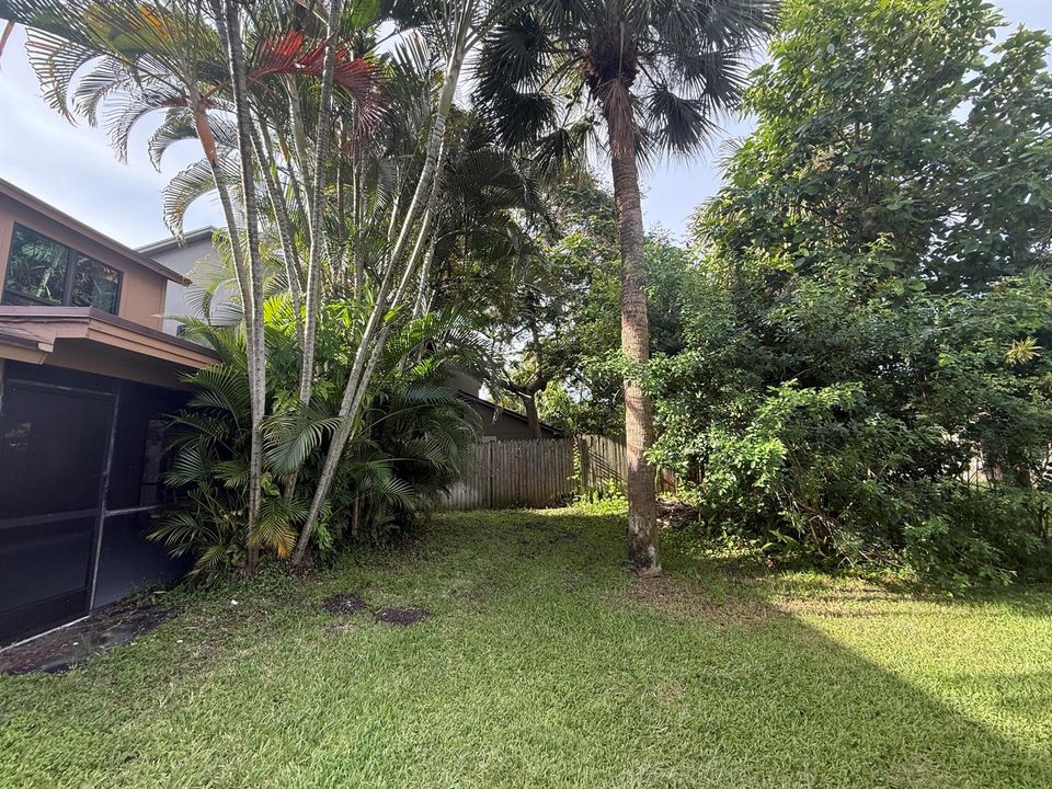 Backyard