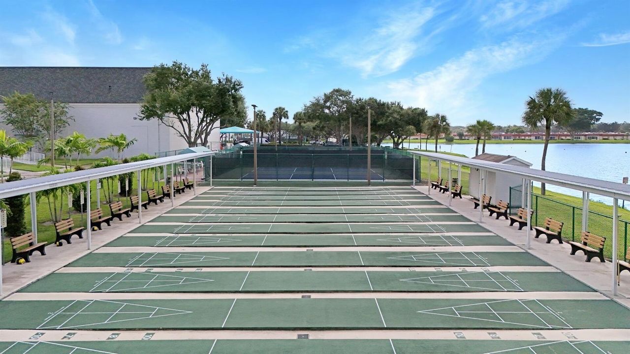Shuffleboard