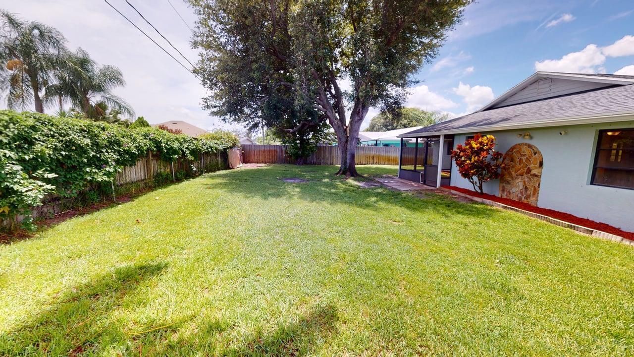 Back Yard View