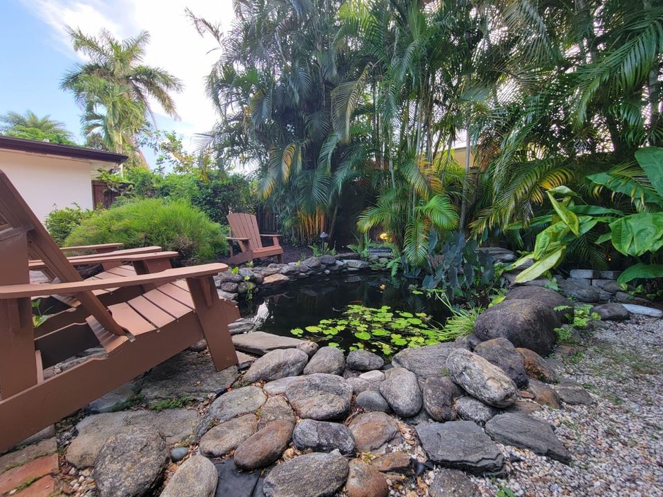 Pond