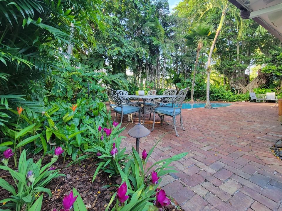 Backyard and Pool