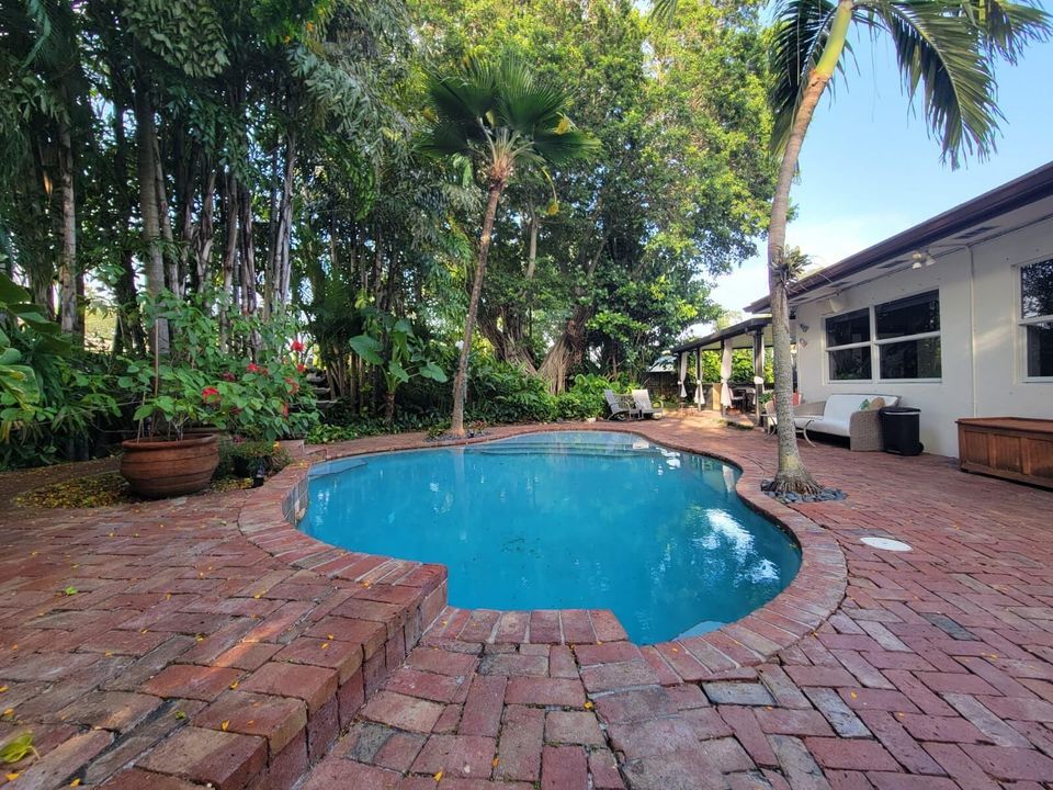 Backyard and Pool