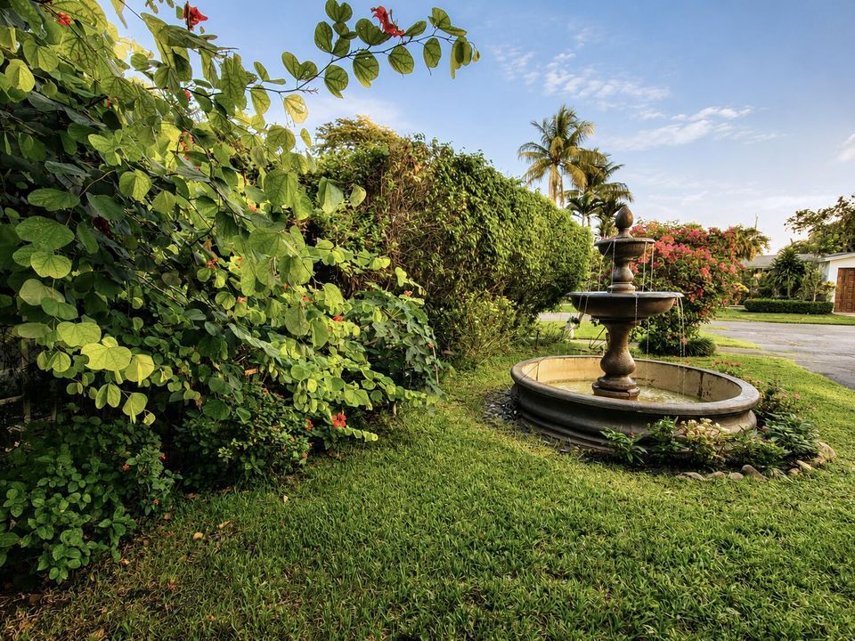Fountain and Front Yard