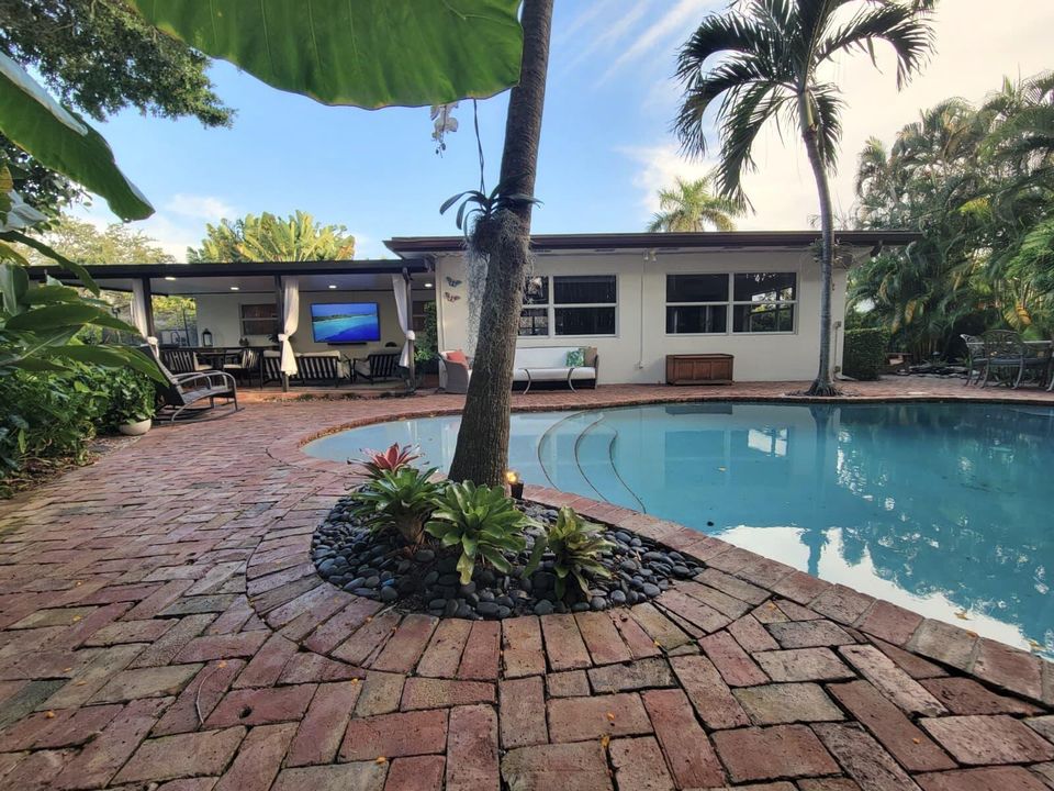 Backyard and Pool