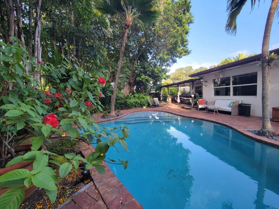 Backyard and Pool