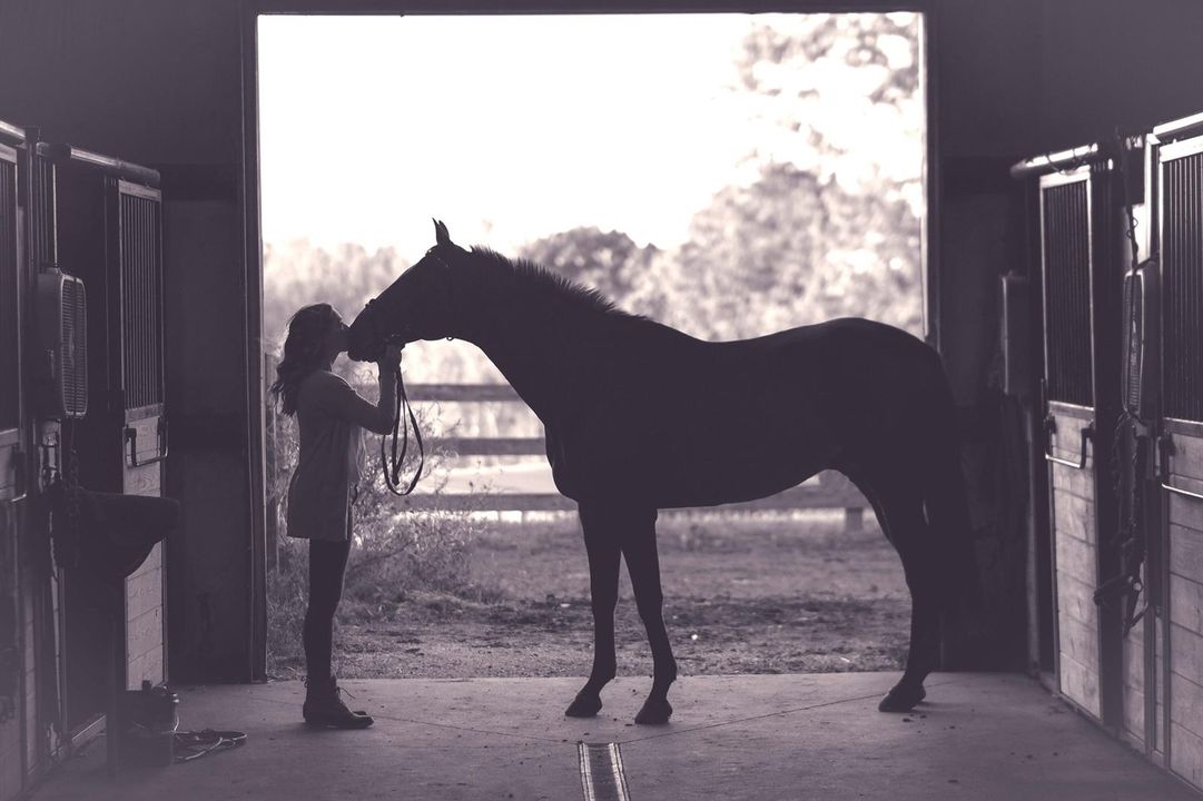 Equestrian