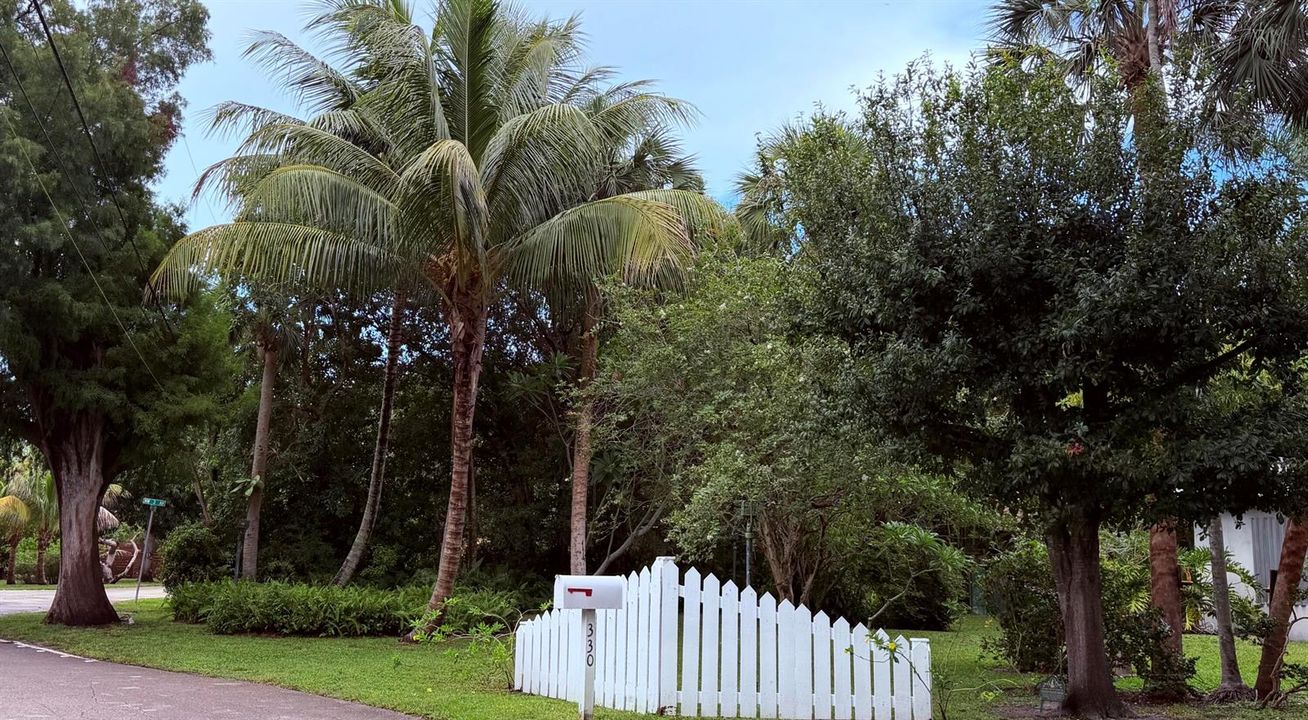 Front Yard