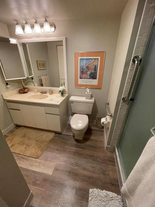 Guest Bath with Shower and Laundry